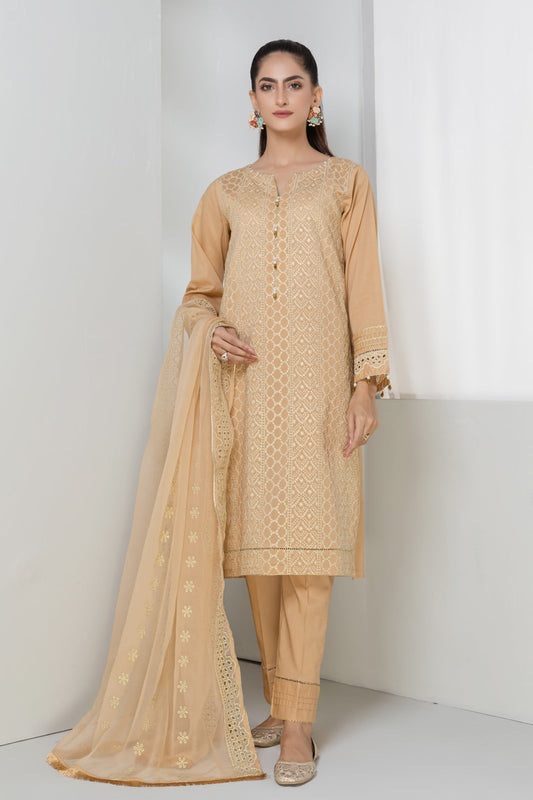 BEIGE-CHIKANKARI -SUIT (ASK223P28)